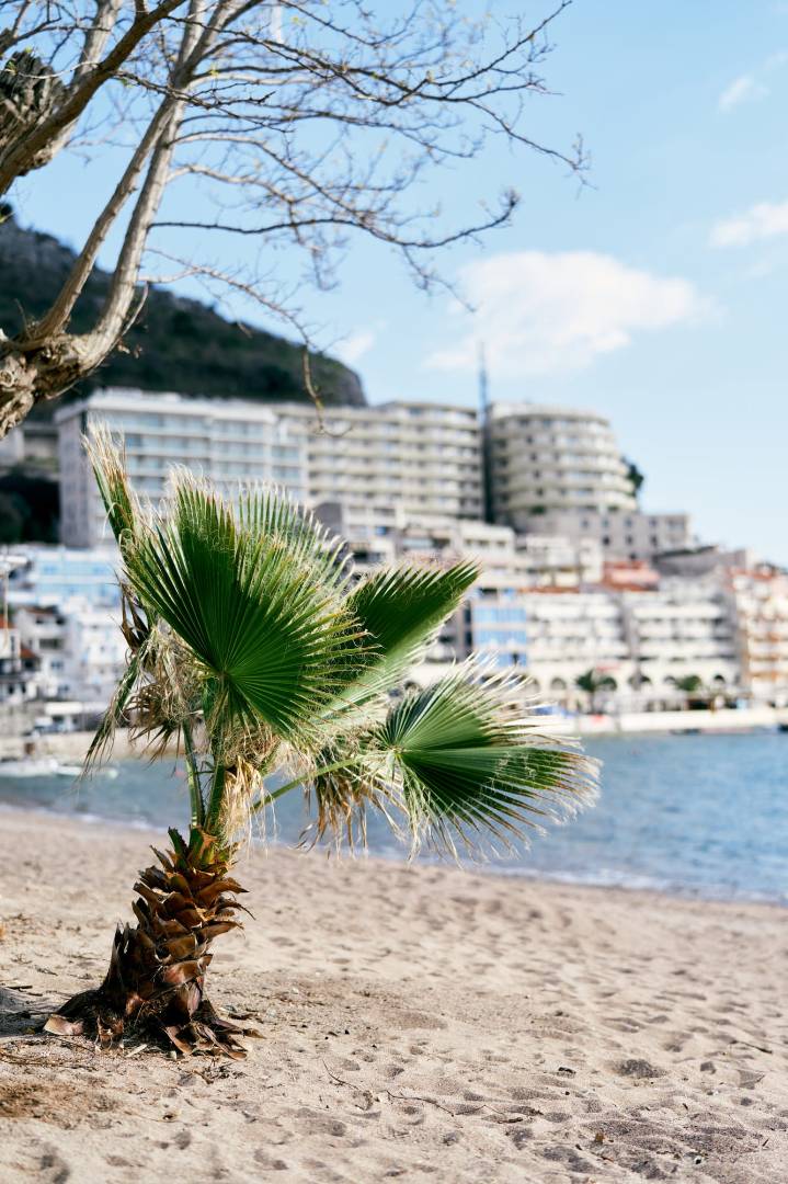 Najljepše plaže u blizini hotela Montenegrina koje morate posjetiti - Cover Image